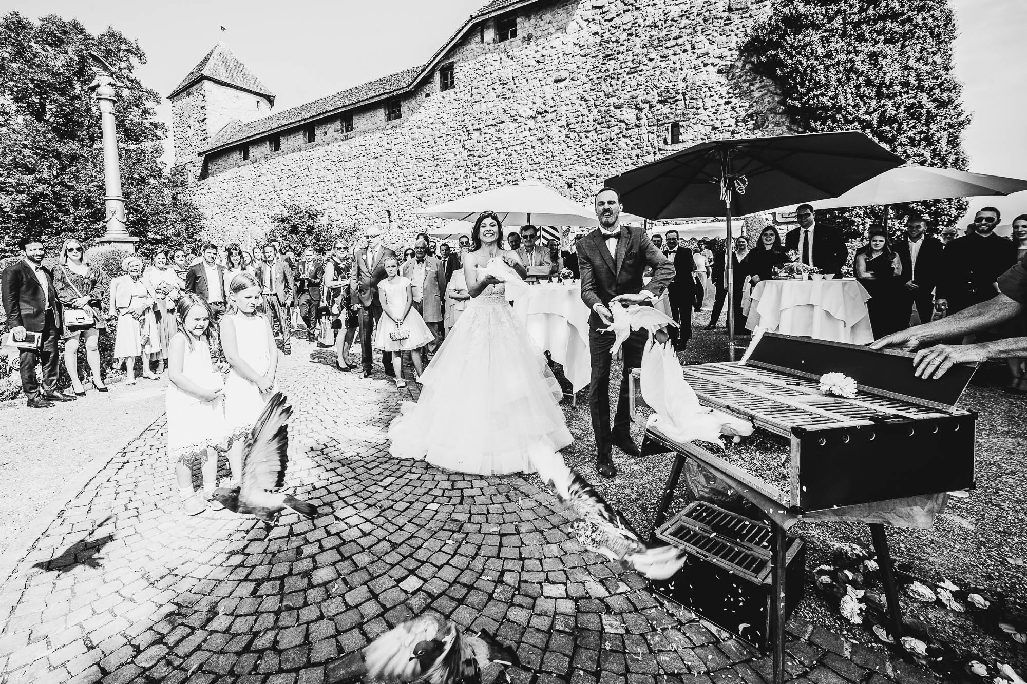 Export x3 1DX23095 Hochzeit 2020 Muriel & Trevor